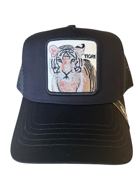 Tigre
