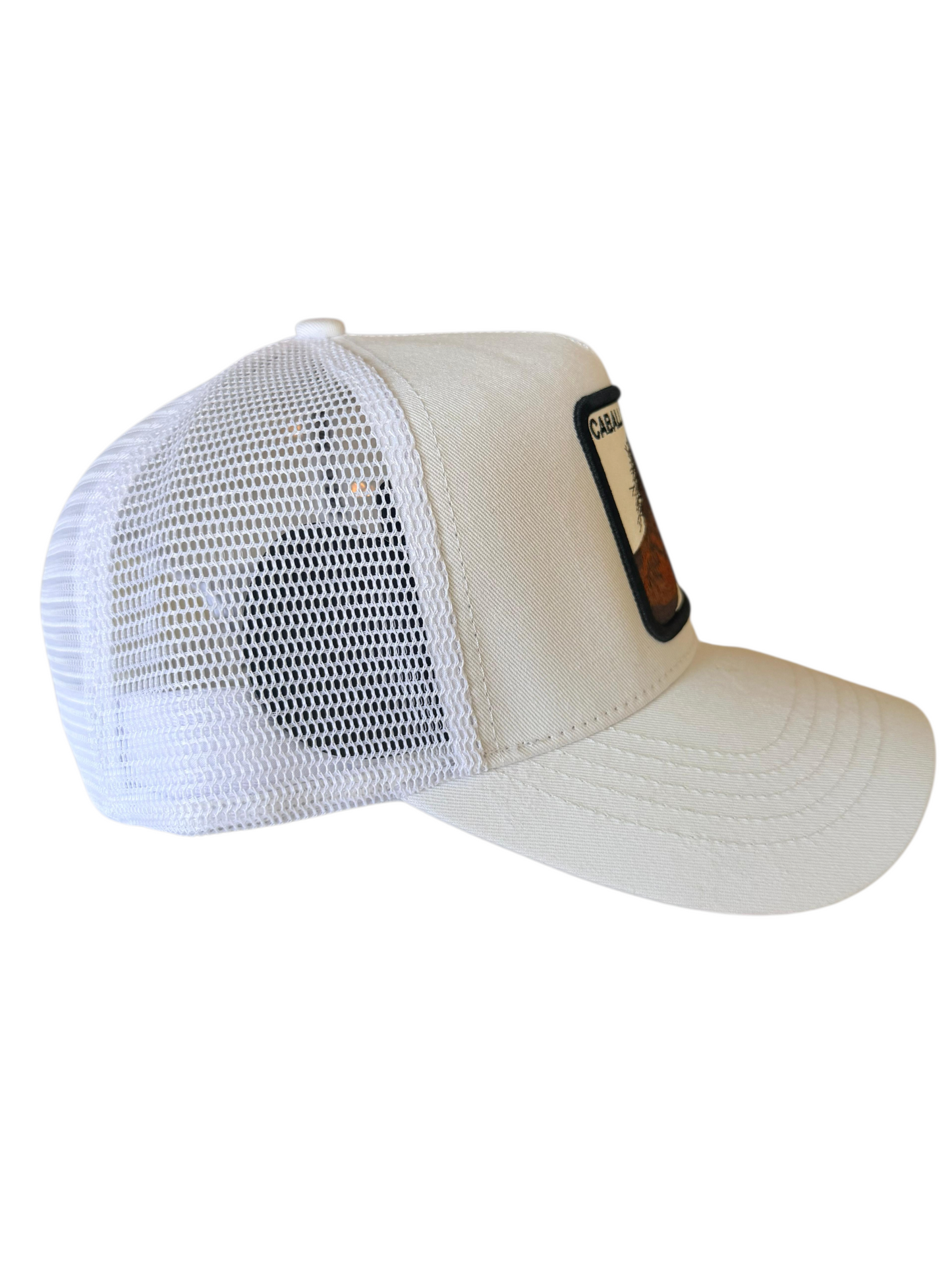 Caballo Blanco