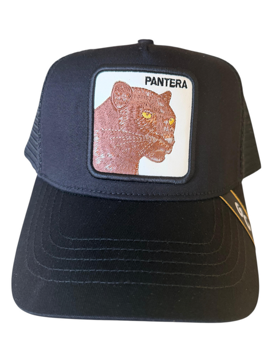 Pantera