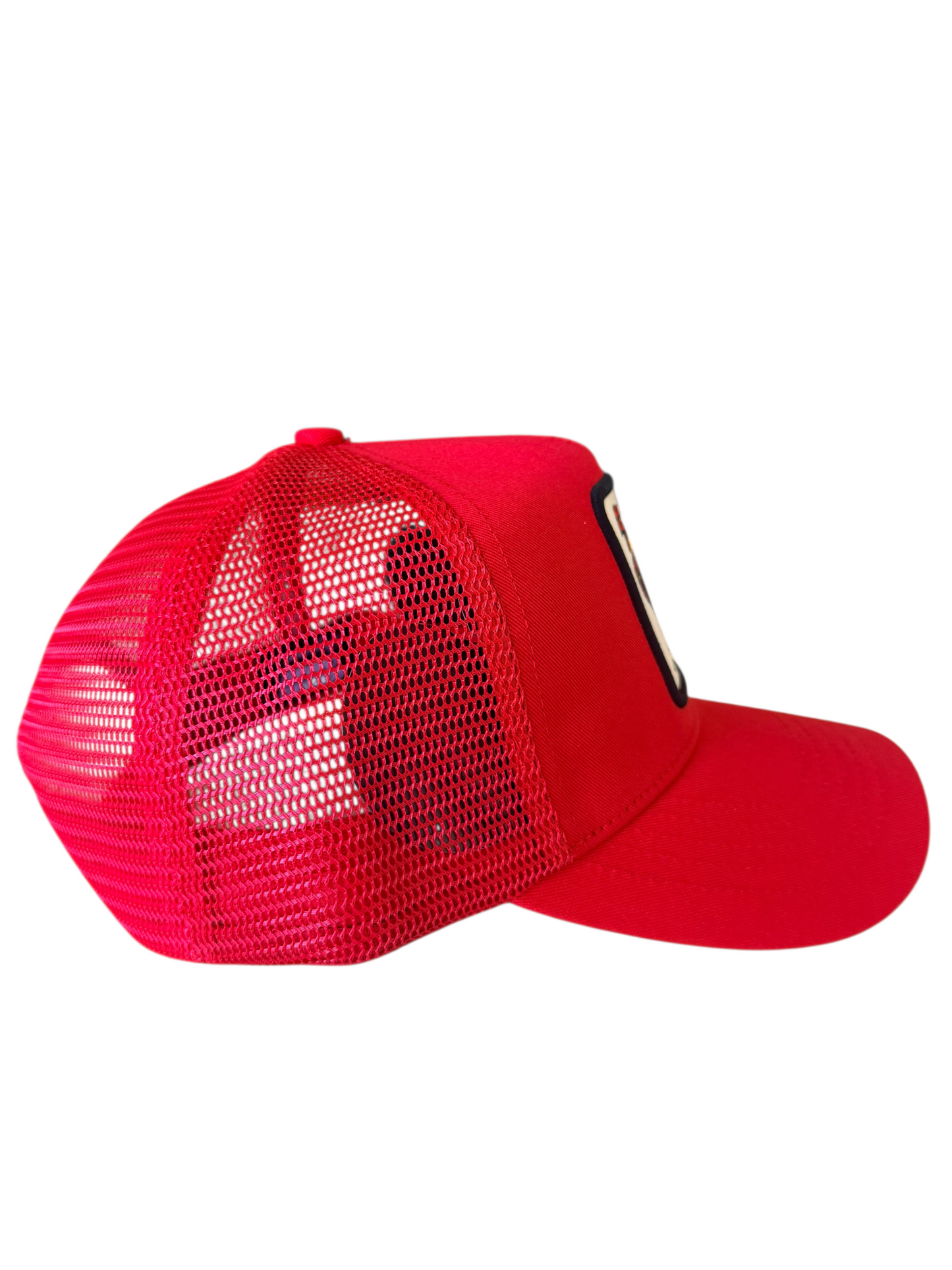 Gallo Rojo