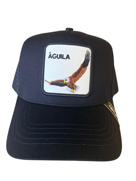 Aguila