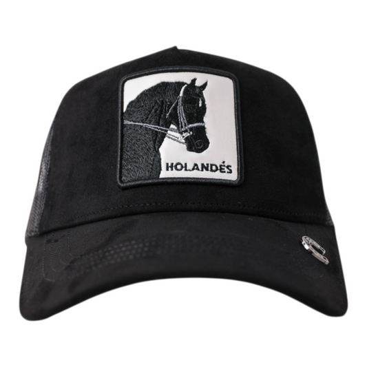Holandes Blanco