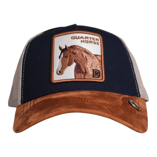 Quarter Horse